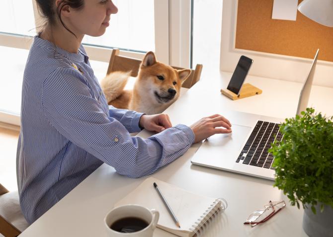 Work from home tips